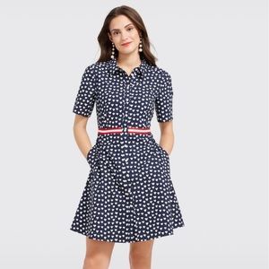 Navy Blue Heart Field Shirtdress